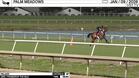 Palazzi Worked 4 Furlongs in 48.60 at Palm Meadows on January 9th, 2026