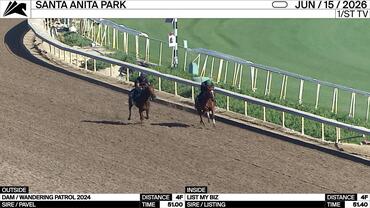 An Unnamed Horse out of the Dam Wandering Patrol (Outside) and List My Biz Worked 4 Furlongs at Santa Anita Park on June 15th, 2026