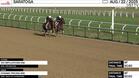 Tax Implications (Outside) and Dynamic Pricing Worked 4 Furlongs in 50.60 at Saratoga on August 22nd, 2025