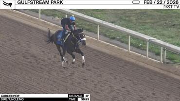 Code Review Worked 3 Furlongs in 35.93 at Gulfstream Park on February 22nd, 2026