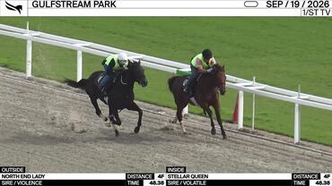 North End Lady (Outside) and Stellar Queen Worked 4 Furlongs in 48.38 at Gulfstream Park on September 19th, 2026
