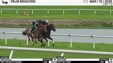 Anglophile (Outside) and Mae Town Worked 4 Furlongs in 46.75 at Palm Meadows on March 13th, 2026