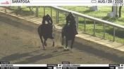 Gun Broker (Outside) and Golden Tornado Worked 4 Furlongs at Saratoga on August 29th, 2026