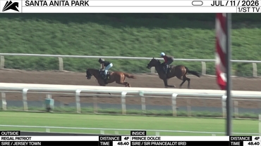 Regal Patriot (Jersey Town)(OUT)_Prince Dolce (Sir Prancealot (IRE))(IN)_Steve Knapp_SA_260711