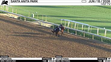 Lino's Angel (Outside) and City of Forza Worked 5 Furlongs at Santa Anita Park on June 15th, 2026