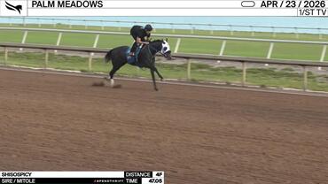 Shisospicy Worked 4 Furlongs in 47.05 at Palm Meadows Park on April 23rd, 2026