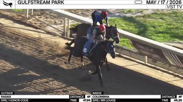 Rasasi (Outside) and Colombina Worked 4 Furlongs at Gulfstream Park on May 17th, 2026
