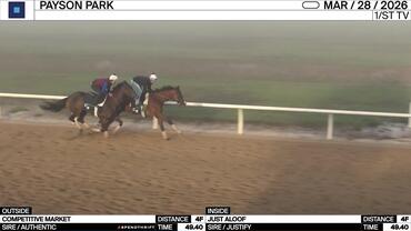 Competitive Market (Outside) and Just Aloof Worked 4 Furlongs in 49.40 at Payson Park on March 28th, 2026