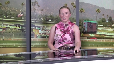 Preview of race 2 The Desert Stormer Stakes on June 11th, 2026