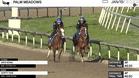 Zia's Song (Outside) and Shifty She Worked 4 Furlongs in 48.50 at Palm Meadows on January 15th, 2022