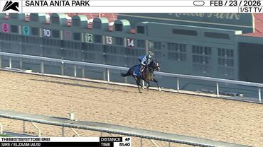 Thebestisyettobe Worked 4 Furlongs in 51.40 at Santa Anita Park on February 23rd, 2026