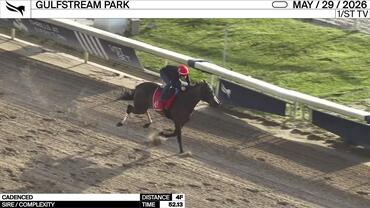 Cadenced Worked 4 Furlongs in 52.13 at Gulfstream Park on May 29th, 2026