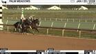 Albus (Outside) and Go for Rocket Worked 3 Furlongs in 37.05 at Palm Meadows on January 23rd, 2026