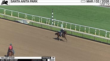 The Last Straw Worked 3 Furlongs in 36.00 at Santa Anita Park on March 2nd, 2026