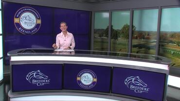 International Intrigue for Breeders' Cup October on 31st, 2026