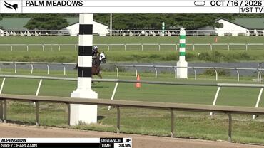 Alpenglow Worked 3 Furlongs in 38.95 at Palm Meadows on October 16th, 2026