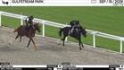 Megaplumb (Outside) and Shadidelbas Worked 4 Furlongs at Gulfstream Park on September 19th, 2026
