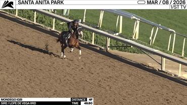 Mondego Worked 4 Furlongs in 49.80 at Santa Anita Park on March 8th, 2026