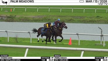 Stasino (Outside) and Pebble Beach Worked 4 Furlongs in 49.25 at Palm Meadows on March 13th, 2026