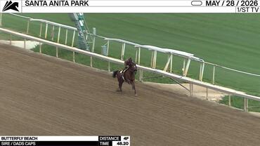 Butterfly Beach Worked 4 Furlongs in 48.20 at Santa Anita Park on May 28th, 2026