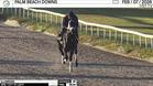 Illuminare Worked 4 Furlongs in 49.34 at Palm Beach Downs on February 7th, 2026