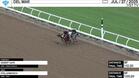 Desert Gate (Chestnut) and Stellenbosch Worked at Del Mar on July 27th, 2025