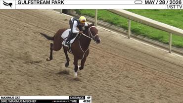Maximus Cat Worked 4 Furlongs in 47.52 at Gulfstream Park on May 28th, 2026