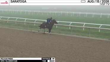 Pelican Pride Worked 4 Furlongs in 48.00 at Saratoga on August 15th, 2026