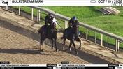 An Unnamed Horse out of the Dam Strike Right Now (Outside) and an Unnamed Horse out of the Dam Bitter Gold Worked 3 Furlongs at Gulfstream Park on October 19th, 2026