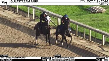 An Unnamed Horse out of the Dam Strike Right Now (Outside) and an Unnamed Horse out of the Dam Bitter Gold Worked 3 Furlongs at Gulfstream Park on October 19th, 2026