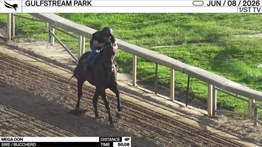 Mega Don Worked 4 Furlongs in 50.08 at Gulfstream Park on June 8th, 2026