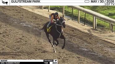 Seaver Worked 4 Furlongs in 49.15 at Gulfstream Park on May 30th, 2026