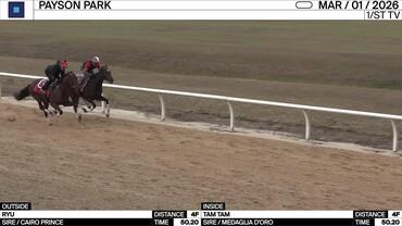 Ryu (Outside) and Tam Tam Worked 4 Furlongs in 50.20 at Payson Park on March 1st, 2026