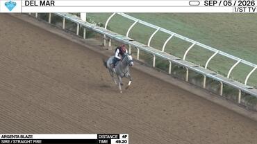 Argenta Blaze Worked 4 Furlongs in 49.20 at Del Mar on September 5th, 2026