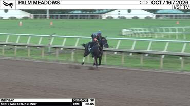 Indy Bay Worked 3 Furlongs in 35.85 at Palm Meadows on October 16th, 2026