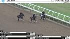Chosen Tribute (Bay), Selected (Chestnut) and Spider John Worked at Del Mar on September 6th, 2026