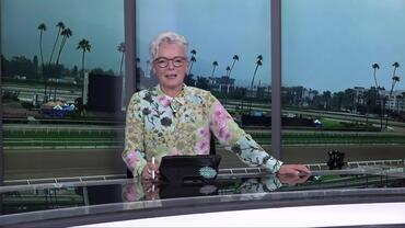 Preview of Race 13, The Belmont Stakes at Saratoga on June 7th 2025