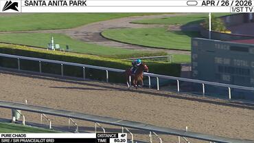 Pure Chaos Worked 4 Furlongs in 50.20 at Santa Anita Park on April 26th, 2026