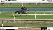Zolene Worked 3 Furlongs in 37.95 at Palm Meadows on October 31st, 2025
