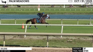 Zolene Worked 3 Furlongs in 37.95 at Palm Meadows on October 31st, 2025
