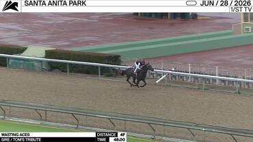 Wasting Aces Worked 4 Furlongs in 48.00 at Santa Anita Park on June 28th, 2026