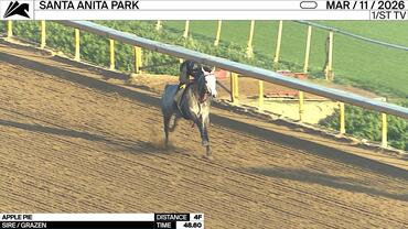 Apple Pie Worked 4 Furlongs in 48.60 at Santa Anita Park on March 11th, 2026