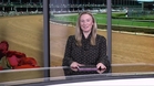 Preview of race 12,  The Kentucky Derby  on May 2nd, 2026