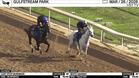 Cant Stop Munnings (Outside) and White Abarrio Worked 4 Furlongs at Gulfstream Park on March 26th, 2026