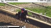 Practically Dark Worked 4 Furlongs in 48.49 at Gulfstream Park on March 22nd, 2026