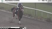 An Unnamed Horse out of the Dam Beckles Road Worked 4 Furlongs in 48.61 at Palm Beach Downs on February 13th, 2026