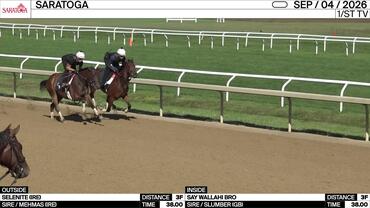 Selenite (Outside) and Say Wallahi Bro Worked 3 Furlongs in 38.00 at Saratoga on September 4th, 2026
