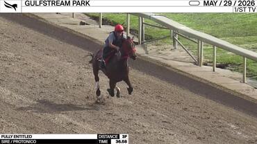 Fully Entitled Worked 3 Furlongs in 36.58 at Gulfstream Park on May 29th, 2026