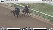Action Delight (Outside) and Scarlett's Law Worked 4 Furlongs in 50.03 at Gulfstream Park on February 22nd, 2026