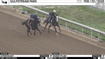 Action Delight (Outside) and Scarlett's Law Worked 4 Furlongs in 50.03 at Gulfstream Park on February 22nd, 2026